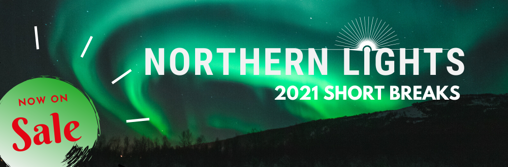 Arctic Circle Holidays Northern Lights Tour 2021